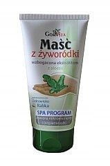 Maść z żyworódki z ekstraktem z aloesu 130ml
